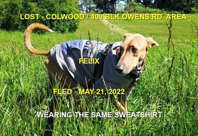 HAPPY ENDINGS - COLWOOD BC. / FELIX / MAY 21, 2022