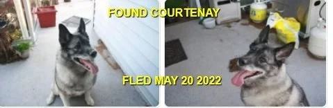 HAPPY ENDINGS - COURTENAY BC. / MAY 20, 2022