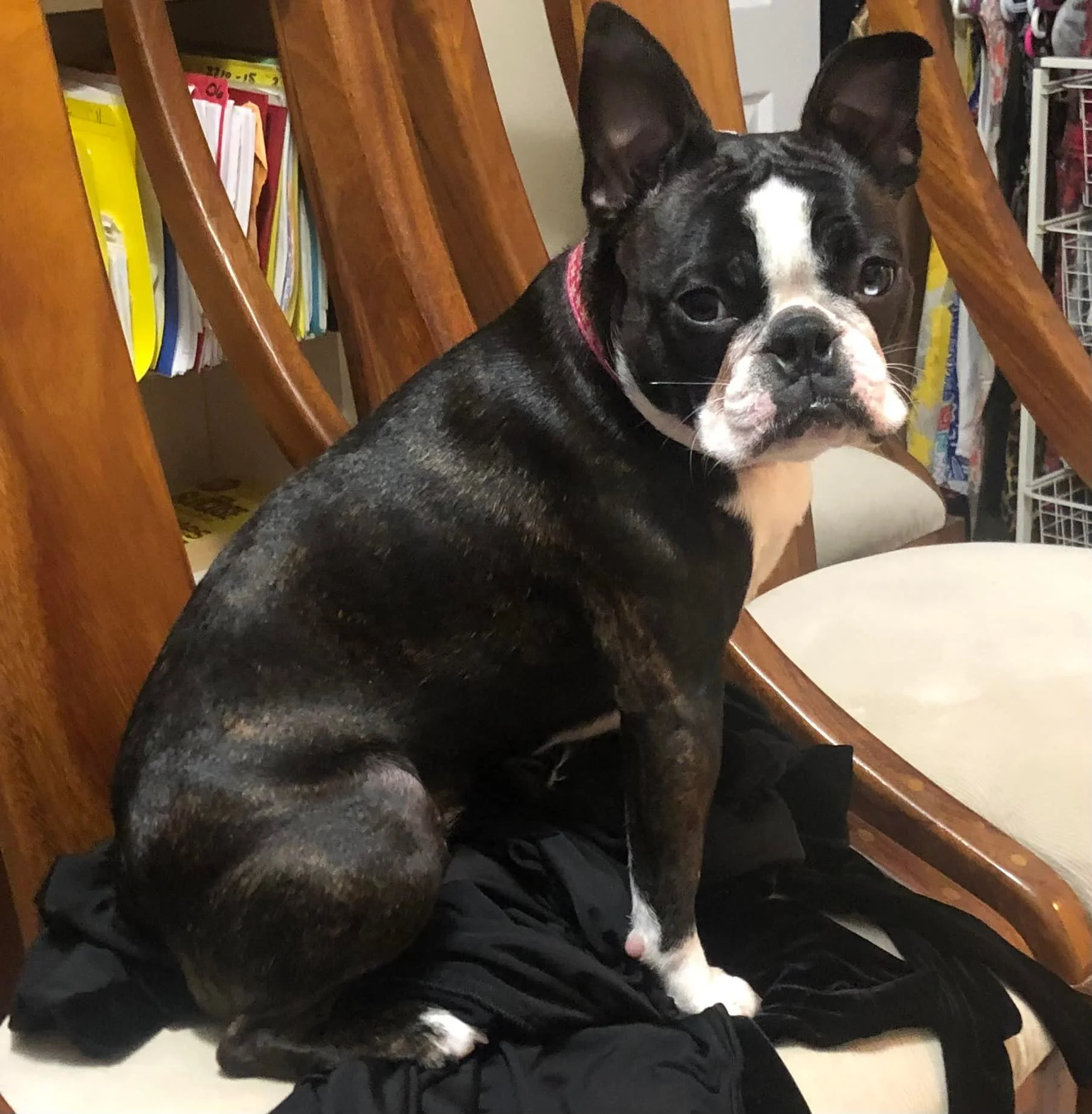 HAPPY ENDINGS - COWICHAN BAY BC. / SAMMIE / MAY 20, 2022