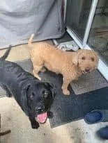 HAPPY ENDINGS - LADYSMITH BC. / MAY 19, 2022