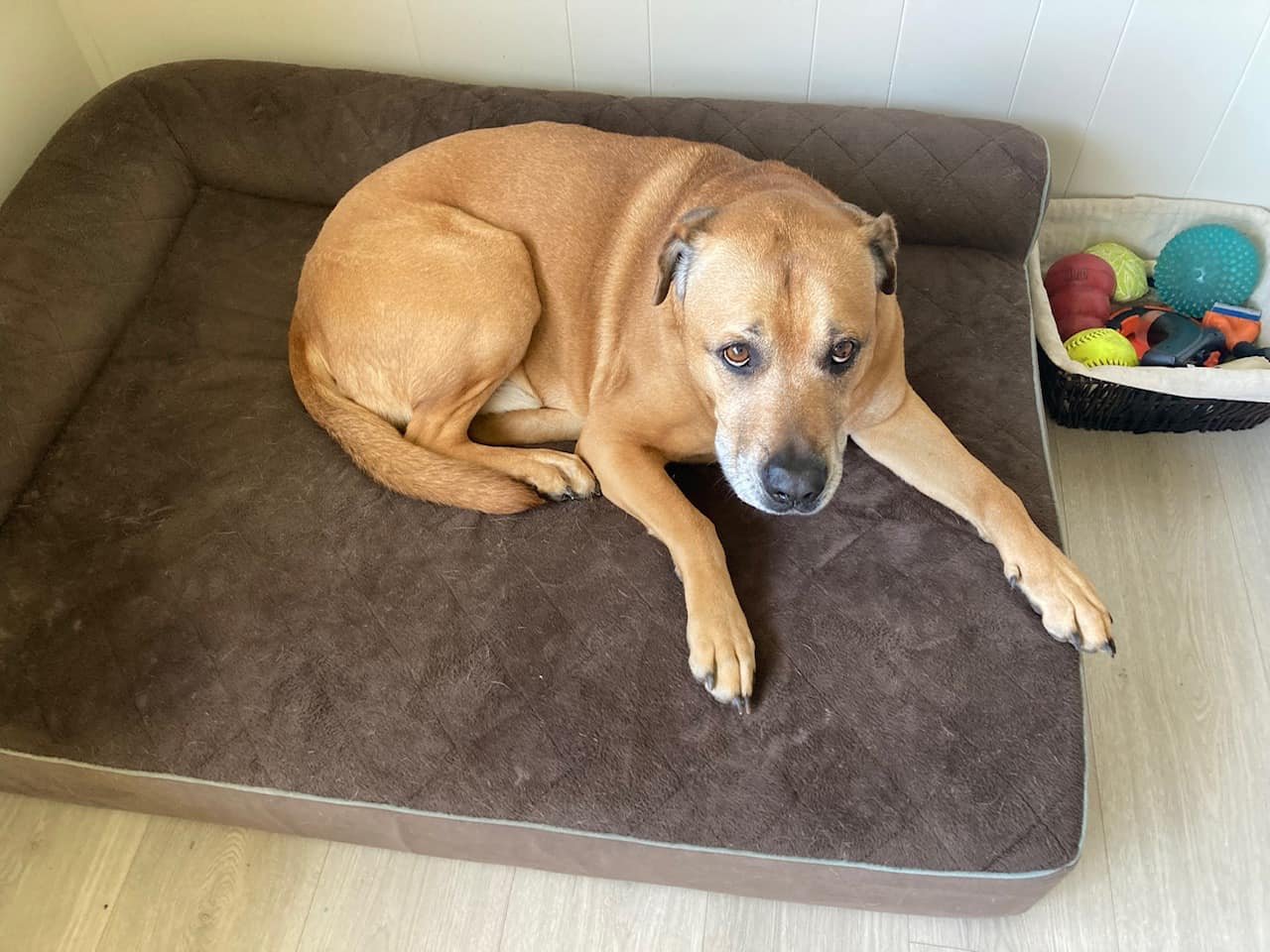 HAPPY ENDINGS - SAANICH BC. / BRU / MAY 18, 2022