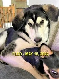 HAPPY ENDINGS - NANAIMO BC. / OREO / MAY 18, 2022