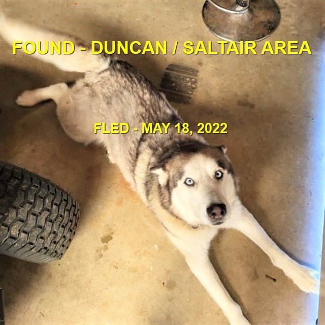 HAPPY ENDINGS - DUNCAN BC. / SITKA / MAY 18, 2022