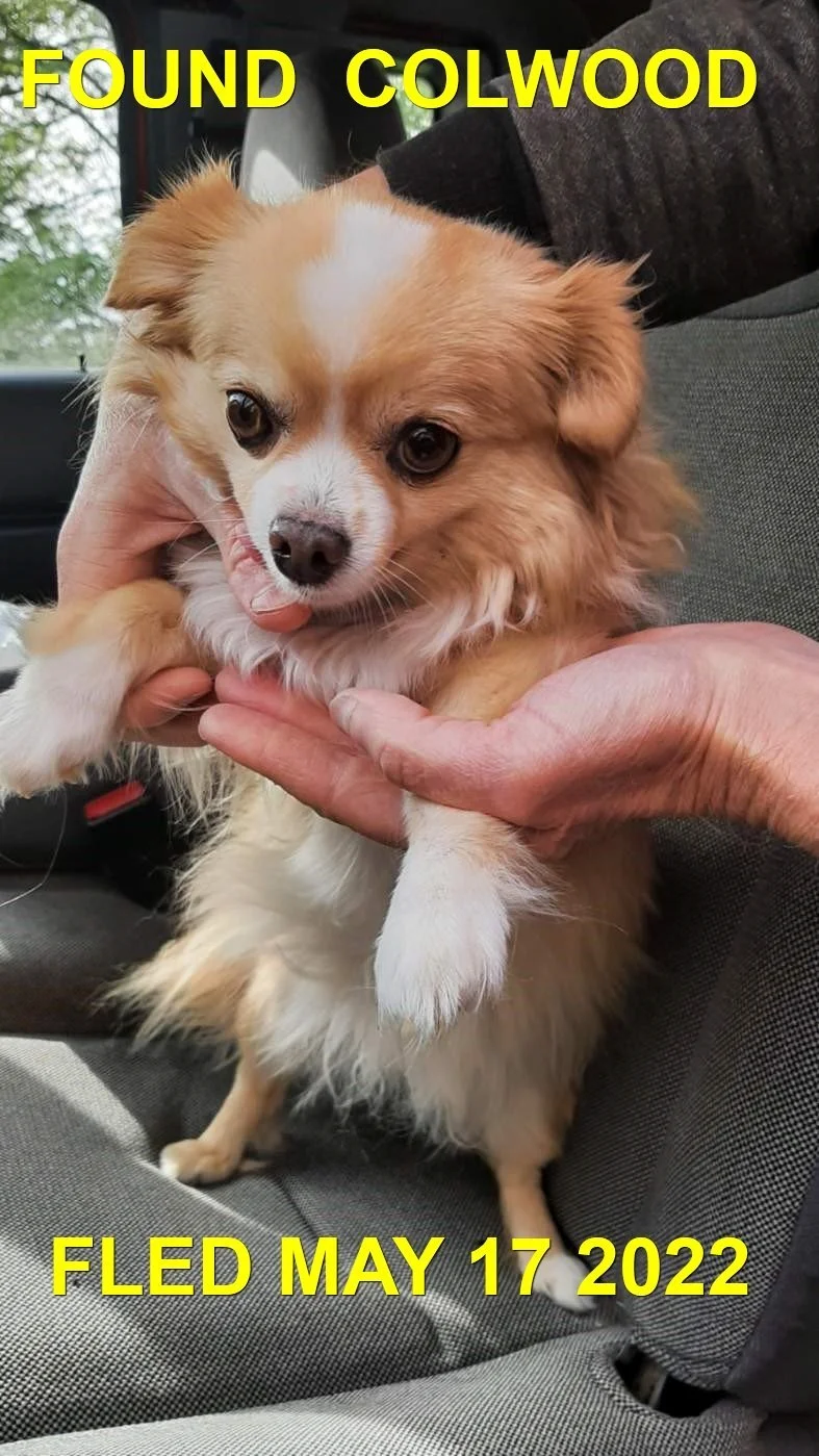 HAPPY ENDINGS - COLWOOD BC. / MAY 17, 2022