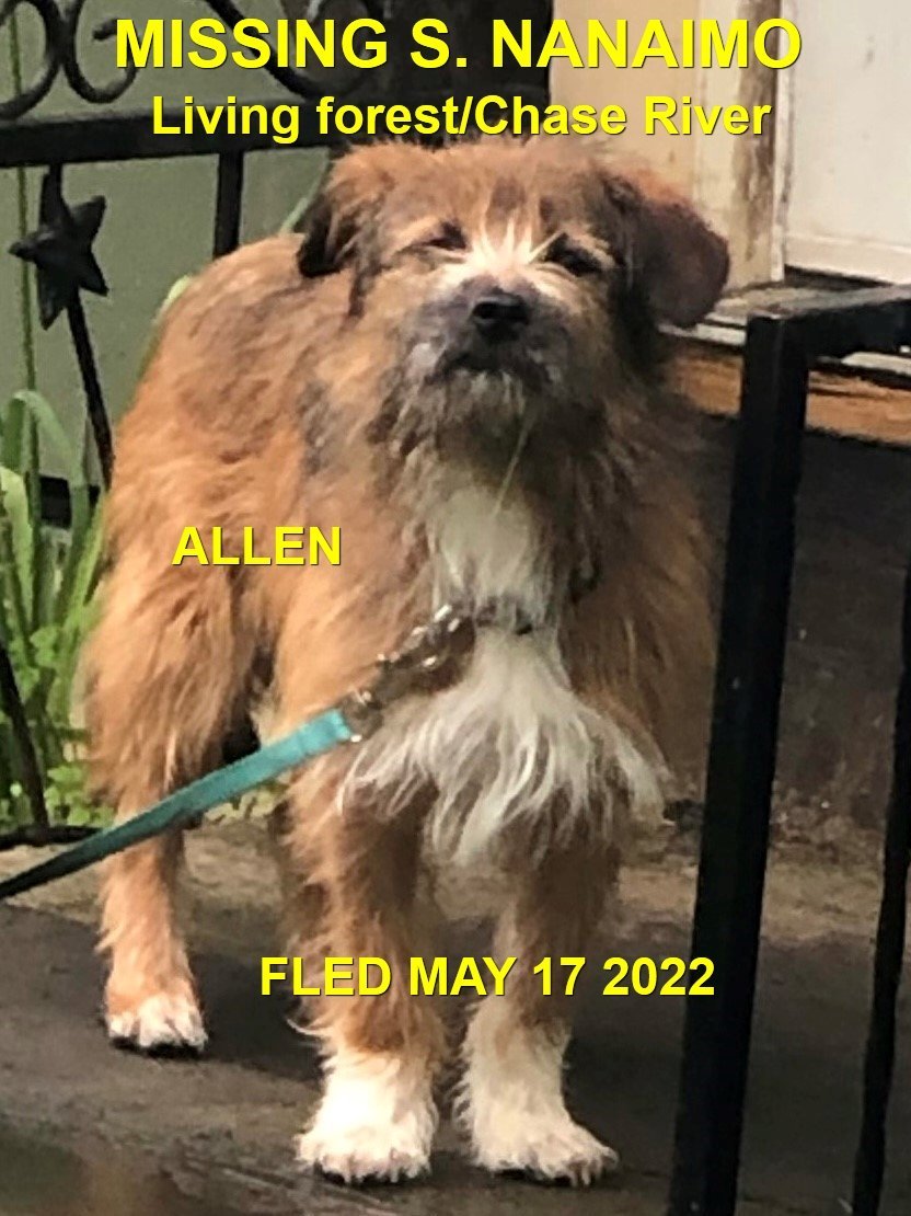 HAPPY ENDING  - NANAIMO - ALLEN / MAY 16, 2022