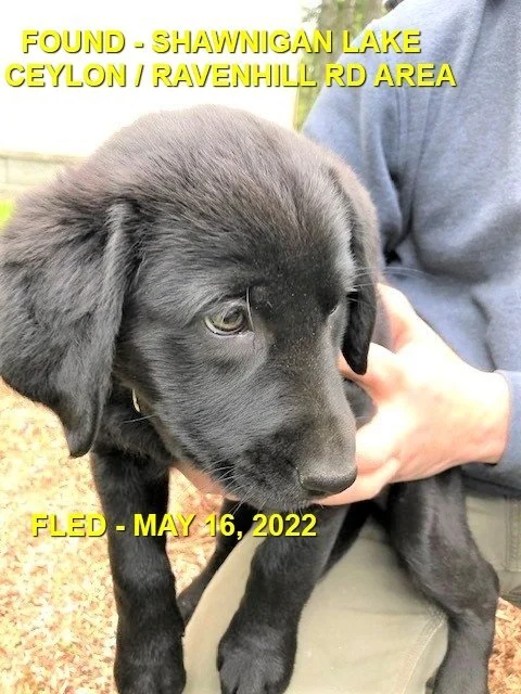 HAPPY ENDINGS - SHAWNIGAN LAKE BC. / MAY 16, 2022