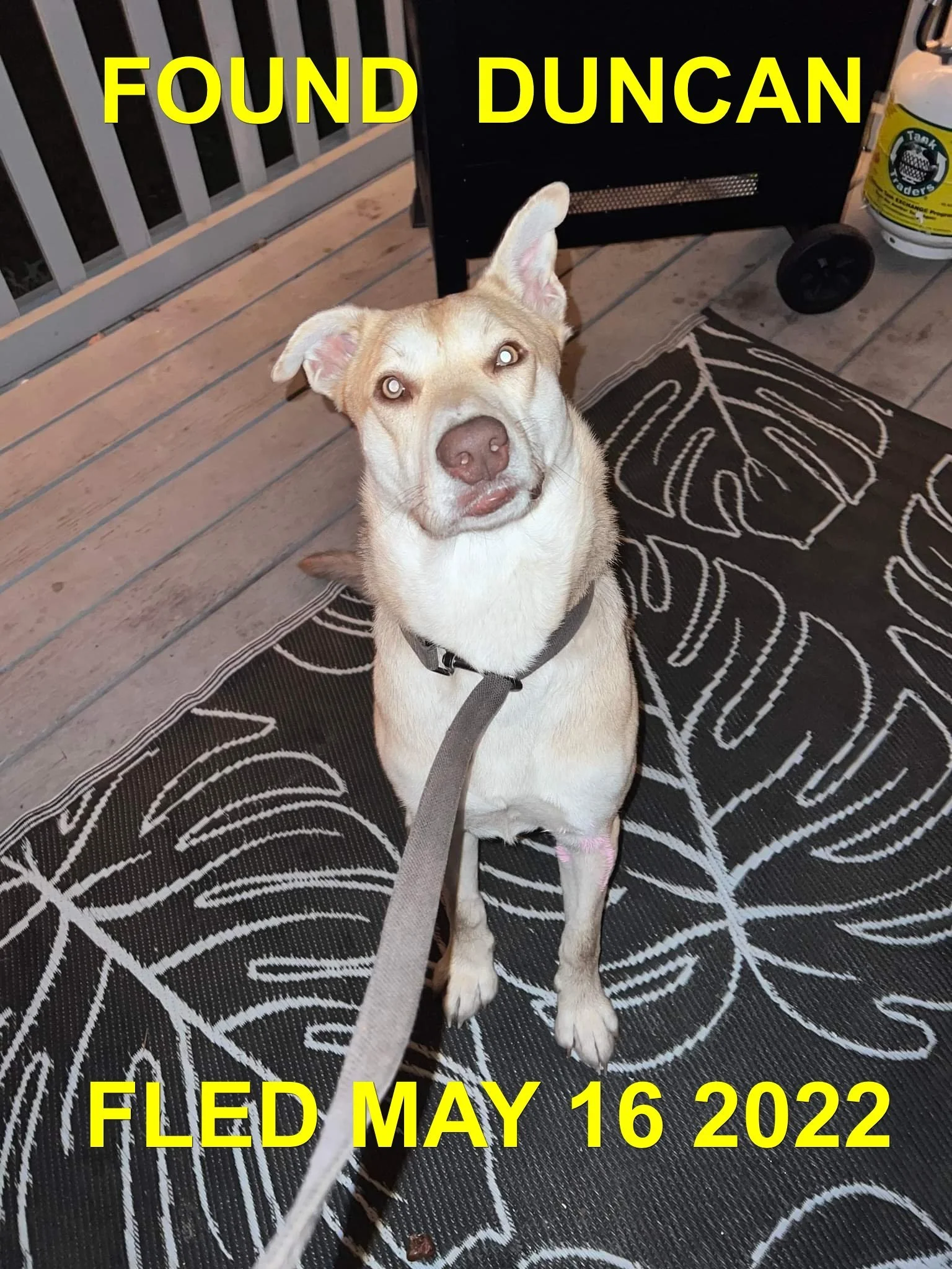 GONE TO SHELTER - DUNCAN BC. / MAY 15, 2022