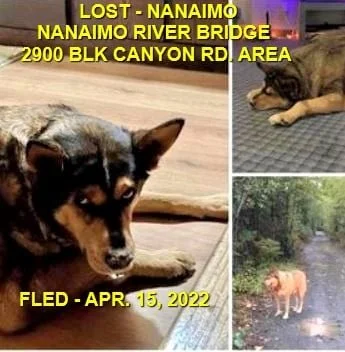 HAPPY ENDINGS - NANAIMO BC. / BUDDY / MAY 15, 2022