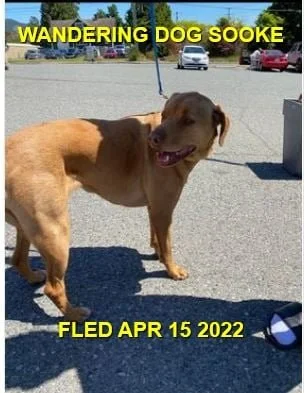 HAPPY ENDINGS - SOOKE BC. / MAY 15, 2022