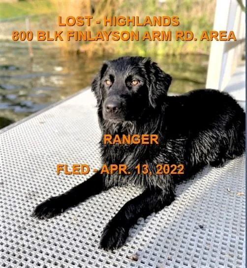 HAPPY ENDINGS - HIGHLANDS BC. / RANGER / APRIL 12, 2022