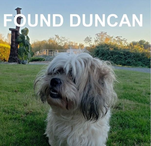 HAPPY ENDINGS - DUNCAN BC. / SEPT. 28, 2020