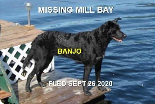HAPPY ENDINGS / GONE TO SHELTER - MILL BAY BC. / BANJO / SEPT. 26, 2022