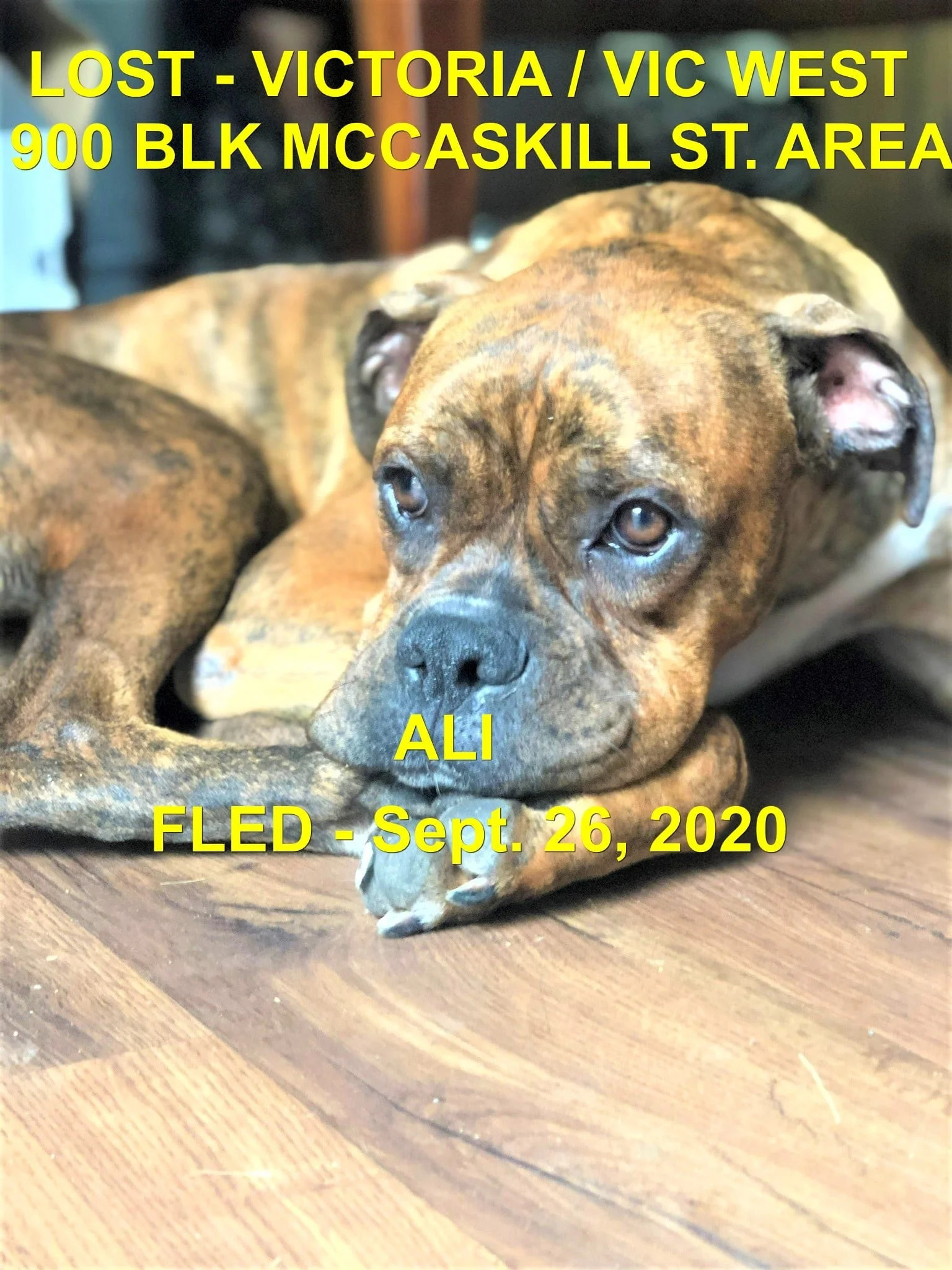 HAPPY ENDINGS - VICTORIA BC. / ALI / SEPT. 26, 2020