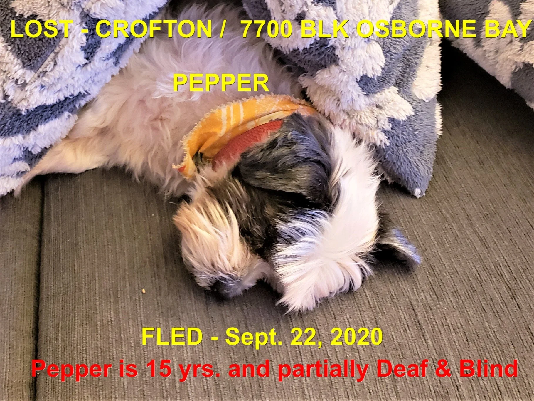 UNRESOLVED - CROFTON BC. / PEPPER / SEPT. 22, 2020