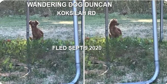 UNRESOLVED - DUNCAN BC. / SEPT. 9, 2020