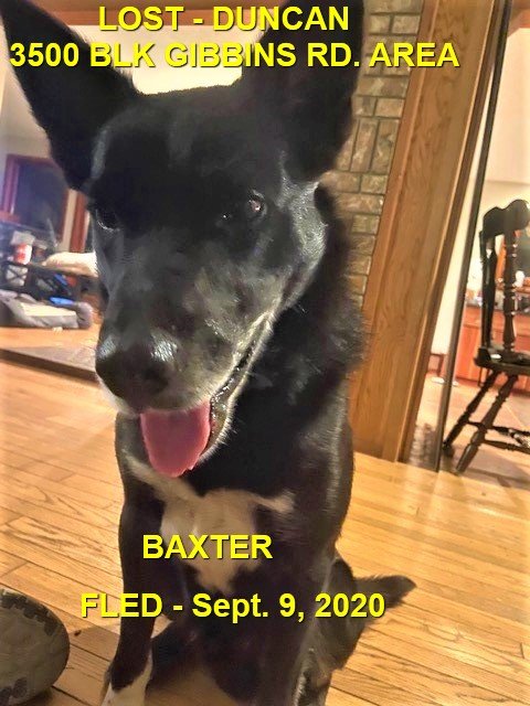 HAPPY ENDINGS - DUNCAN BC. / BAXTER / SEPT. 8, 2020