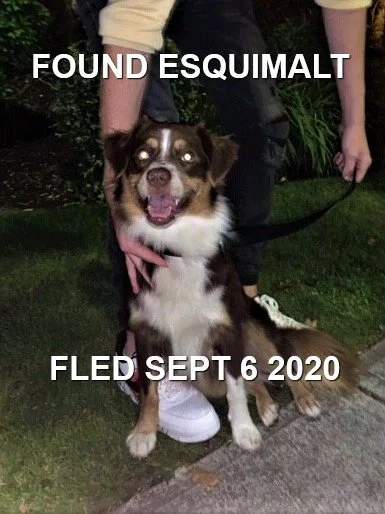 HAPPY ENDINGS - ESQUIMALT BC. / SEPT. 6, 2020