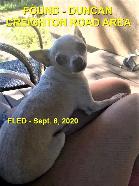 HAPPY ENDINGS - DUNCAN BC. / SEPT. 6, 2020