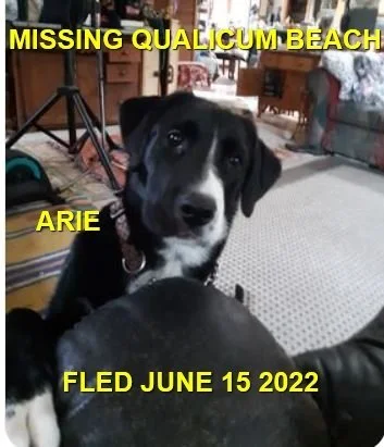 HAPPY ENDINGS - QUALICUM BEACH BC. / ARIE / JUNE 15, 2022