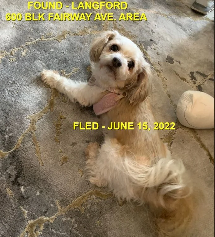 HAPPY ENDINGS - LANGFORD BC. / JUNE 14, 2022