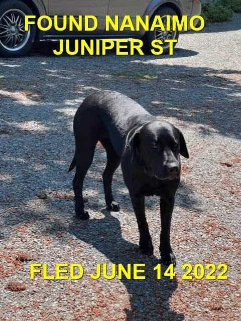 HAPPY ENDINGS - NANAIMO BC. / JUNE 14, 2022