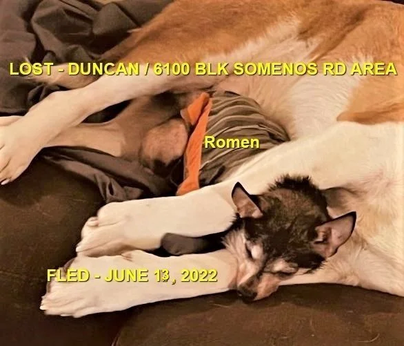 HAPPY ENDINGS - DUNCAN BC. / ROMEN / JUNE 12, 2022