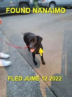UNRESOLVED - NANAIMO BC. / JUNE 12, 2022