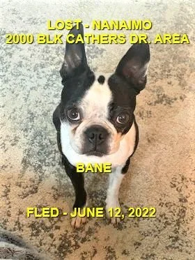 HAPPY ENDINGS - NANAIMO BC. / BANE / JUNE 12, 2022