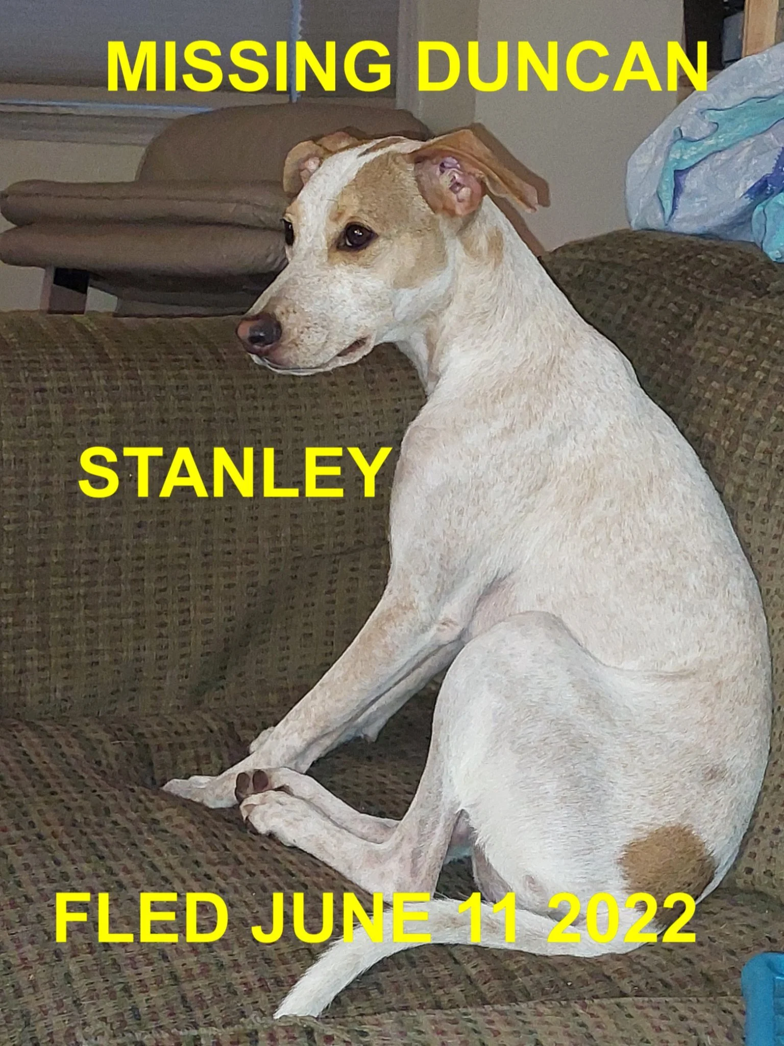 HAPPY ENDINGS - DUNCAN BC. / STANLEY / JUNE 11, 2022