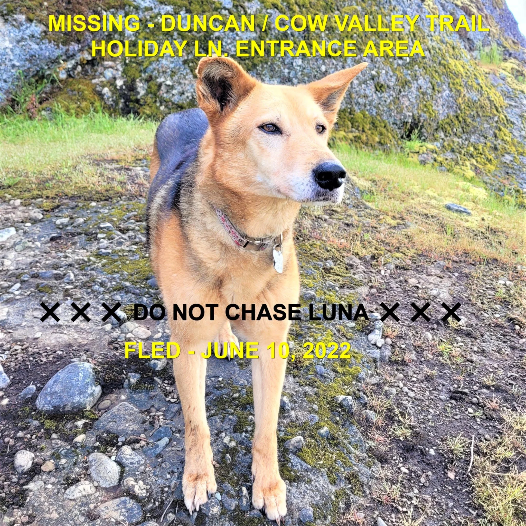 HAPPY ENDINGS - DUNCAN BC. / LUNA / JUNE 10, 2022