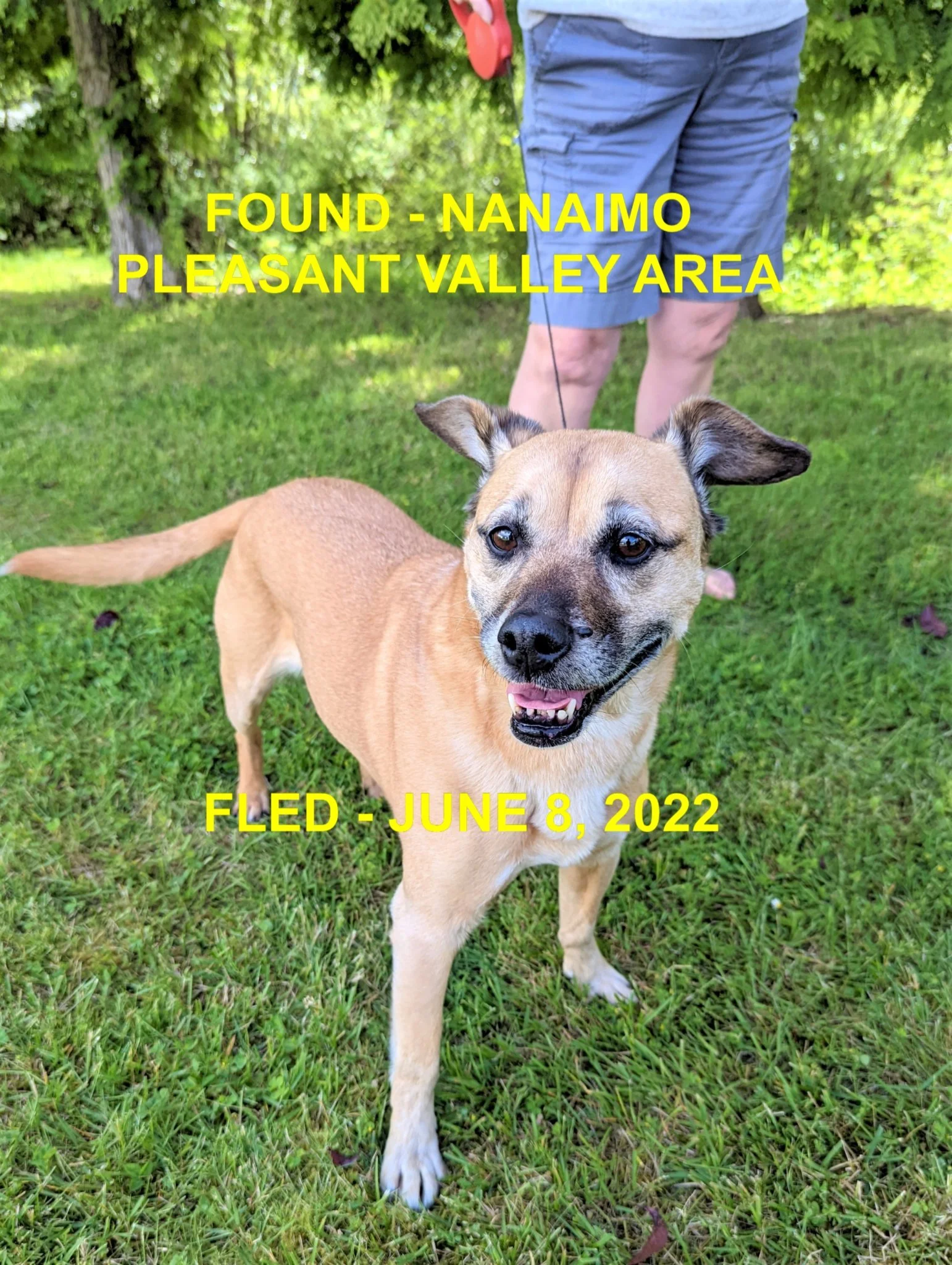 HAPPY ENDINGS - NANAIMO BC. / JUNE 8, 2022