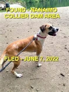 GONE TO SHELTER / HAPPY ENDINGS - NANAIMO BC. / JUNE 8, 2022