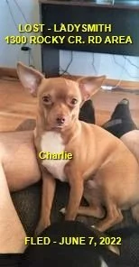 HAPPY ENDINGS - LADYSMITH BC. / CHARLIE / JUNE 7, 2022