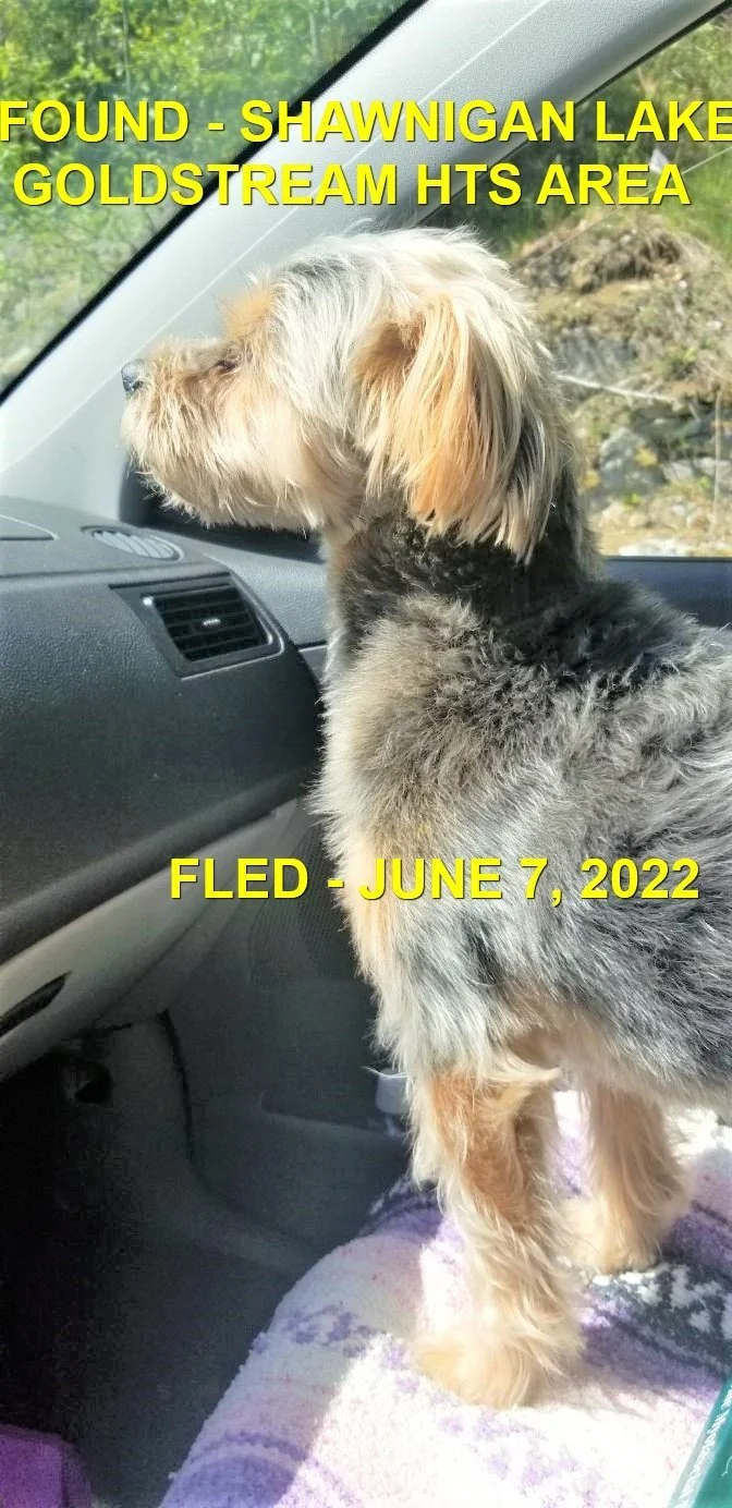 HAPPY ENDINGS - SHAWNIGAN LAKE BC. / CHARLIE / JUNE 7, 2022