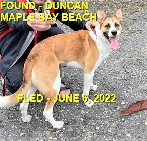 HAPPY ENDINGS - DUNCAN BC. / JUNE 6, 2022