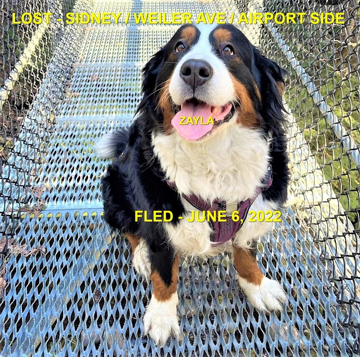 HAPPY ENDINGS - SIDNEY BC. / ZAYLA / JUNE 5, 2022