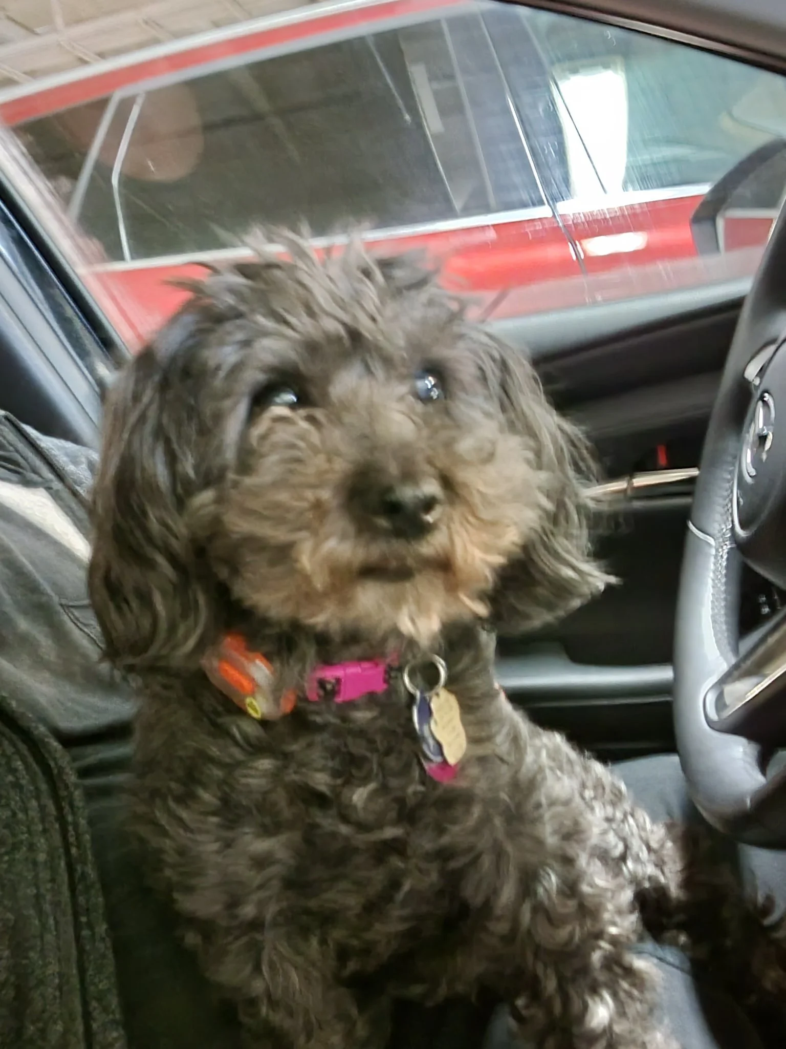 HAPPY ENDINGS - SAANICH BC. / SHADOW / JUNE 6, 2022