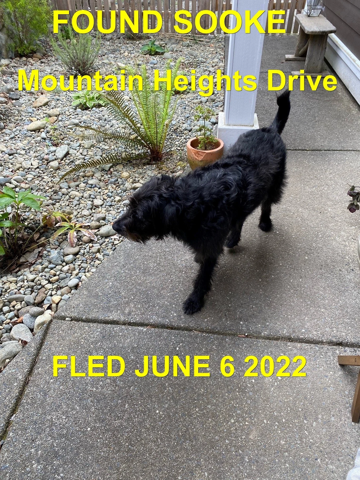 HAPPY ENDINGS - SOOKE BC. / JUNE 6, 2022