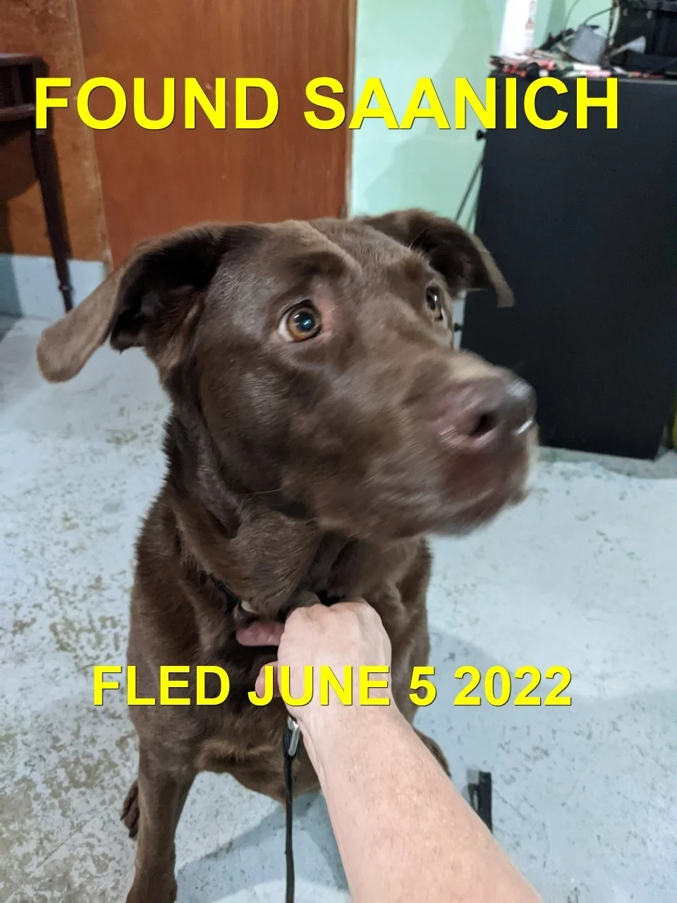 HAPPY ENDINGS -VICTORIA BC. / JUNE 5, 2022