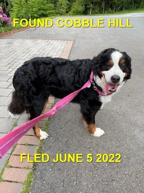 HAPPY ENDINGS - COBBLE HILL BC. / BO / JUNE 5, 2022