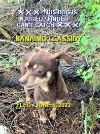 GONE TO SHELTER / HAPPY ENDINGS -  NANAIMO BC. / JUNE 5, 2022