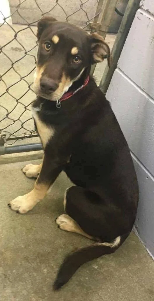 GONE TO SHELTER / HAPPY ENDINGS - COBBLE HILL BC. / GAMORA / JUNE 4, 2022