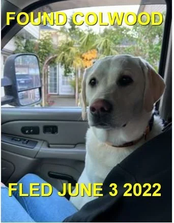 HAPPY ENDINGS - COLWOOD BC. / SUMMER / JUNE 3, 2022