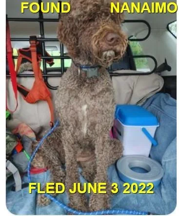 HAPPY ENDINGS - NANAIMO BC. / JUNE 3, 2022