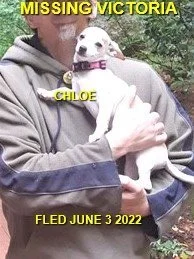 HAPPY ENDINGS - VICTORIA BC. / CHLOE / JUNE 3, 2022