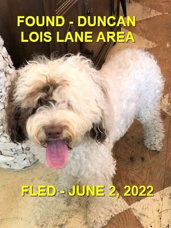 HAPPY ENDINGS - DUNCAN BC. / JUNE 2, 2022