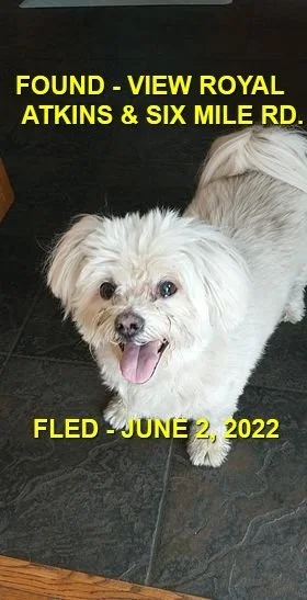 HAPPY ENDINGS - VIEW ROYAL BC. / JUNE 2, 2022