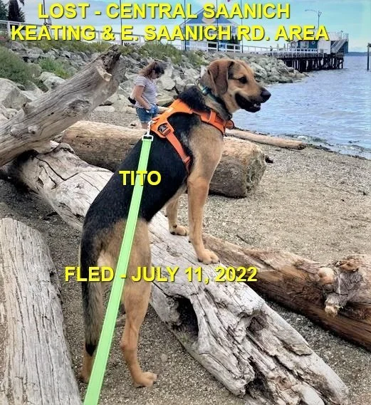 HAPPY ENDINGS - CENTRAL SAANICH BC / TITO / JULY 11, 2022