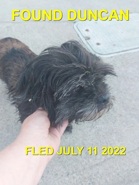 GONE TO SHELTER - HAPPY ENDINGS - DUNCAN BC / JULY 11, 2022
