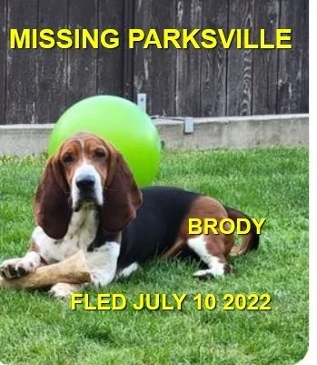 HAPPY ENDINGS - PARKSVILLE BC. / BRODY / JULY 10, 2022